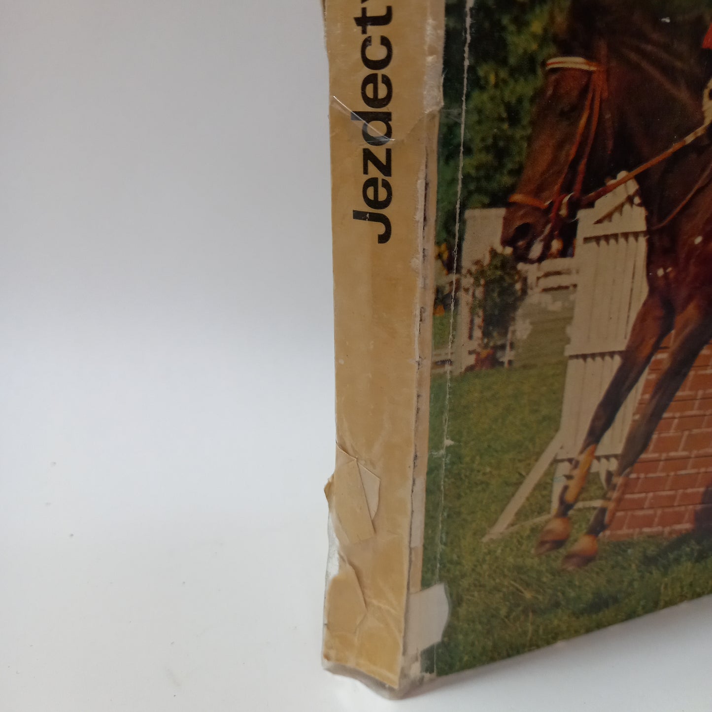 Jezdectví a dostihový sport