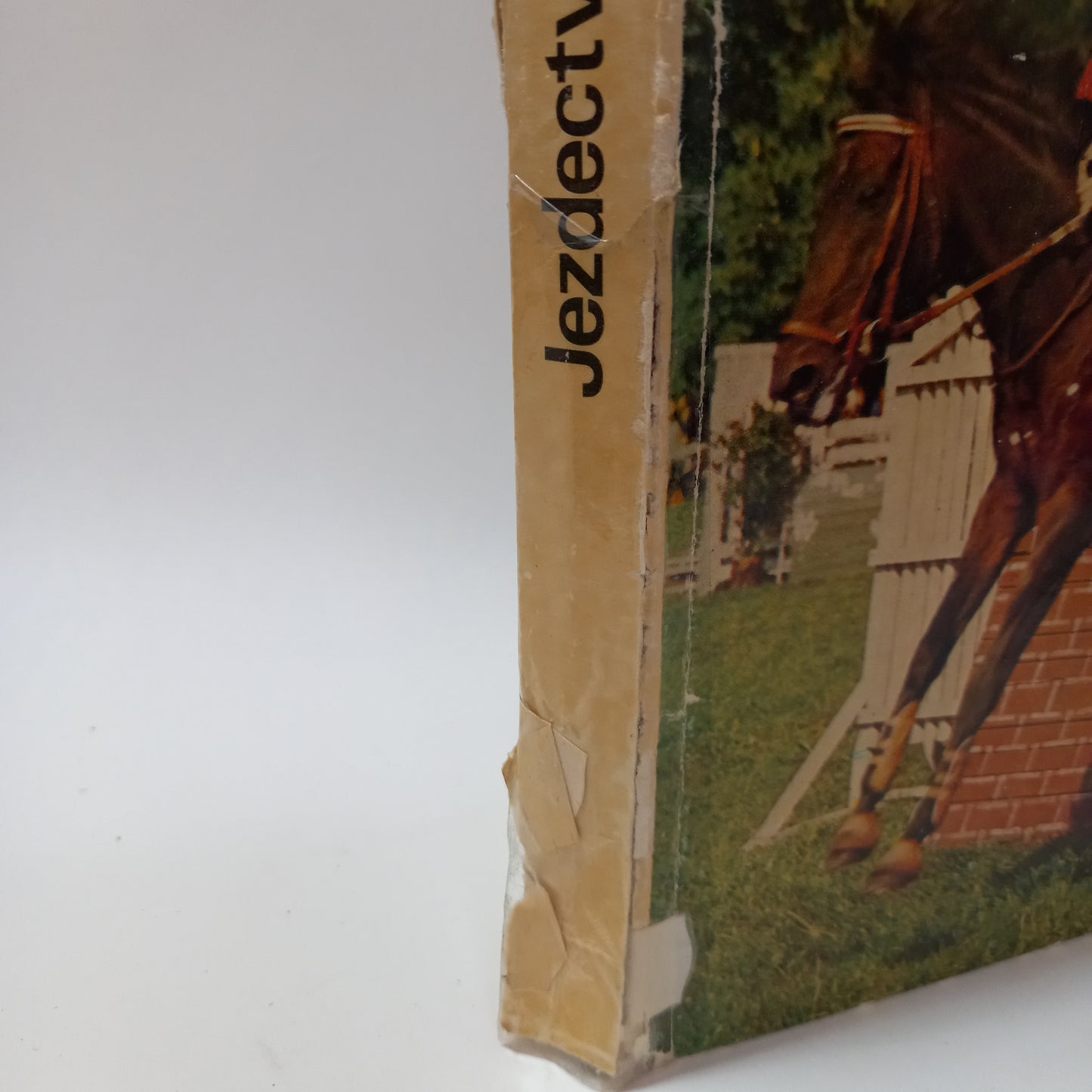 Jezdectví a dostihový sport