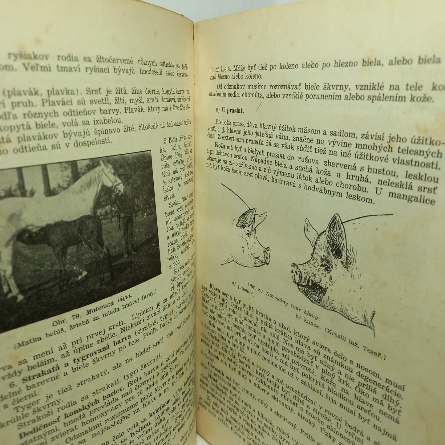 Chov domácich zvierat