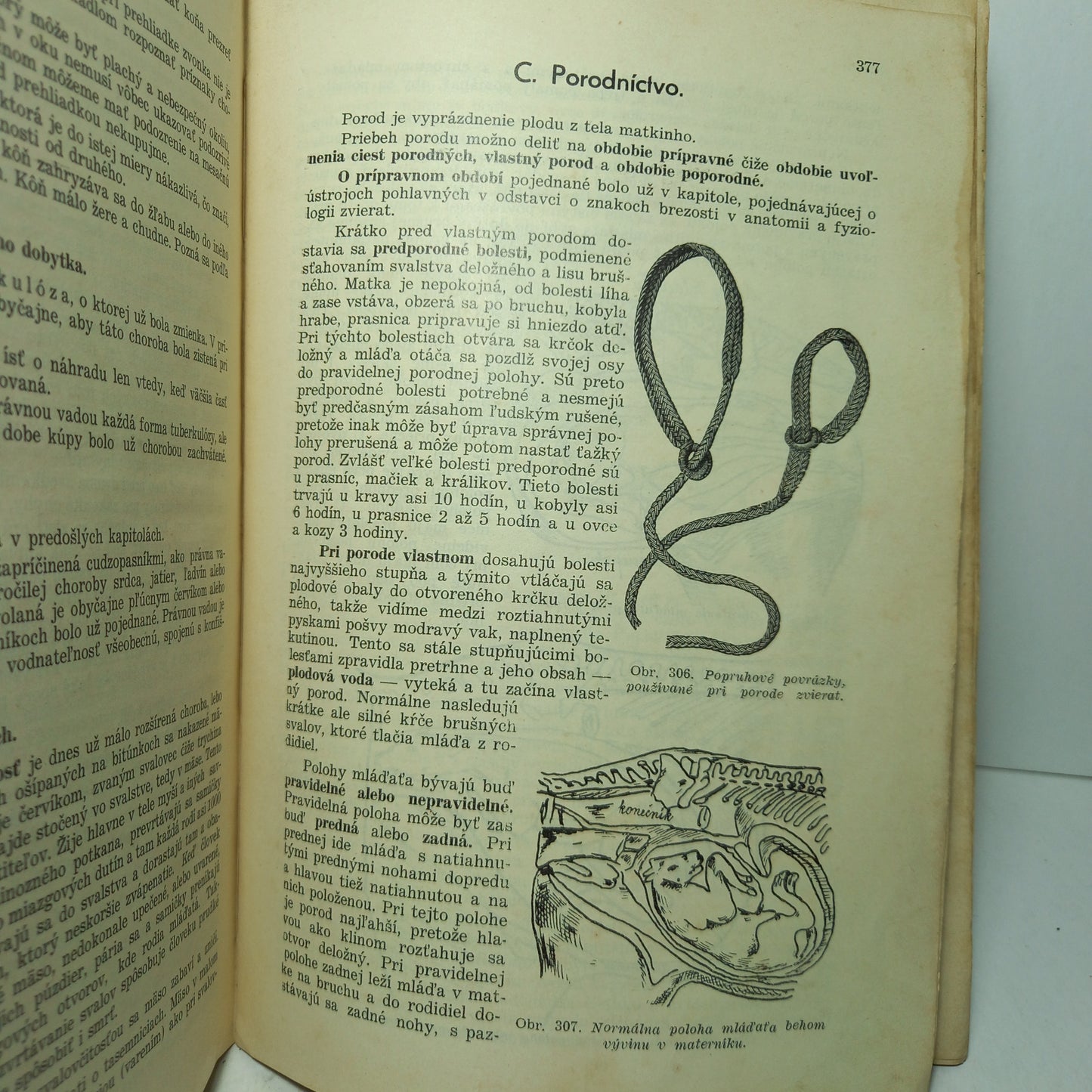 Chov domácich zvierat