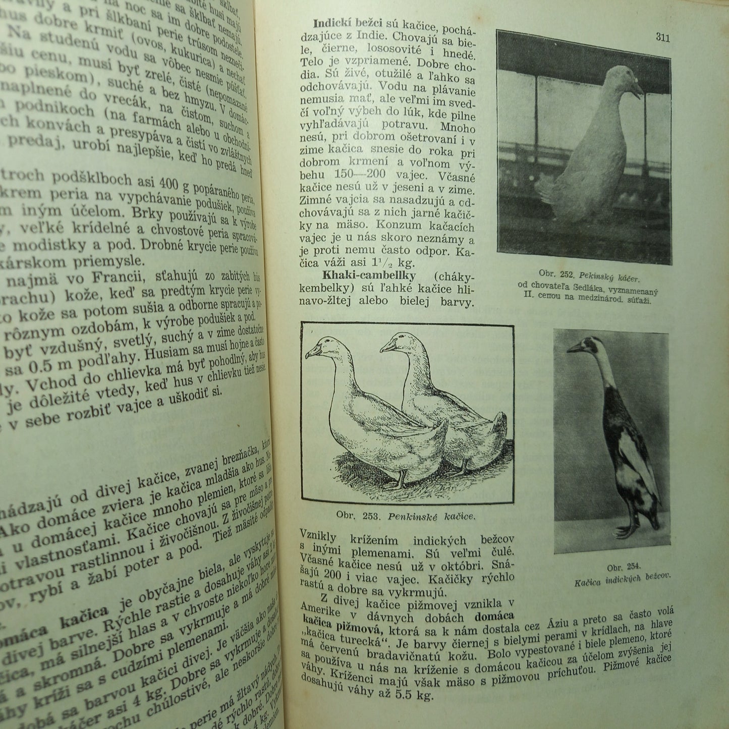 Chov domácich zvierat