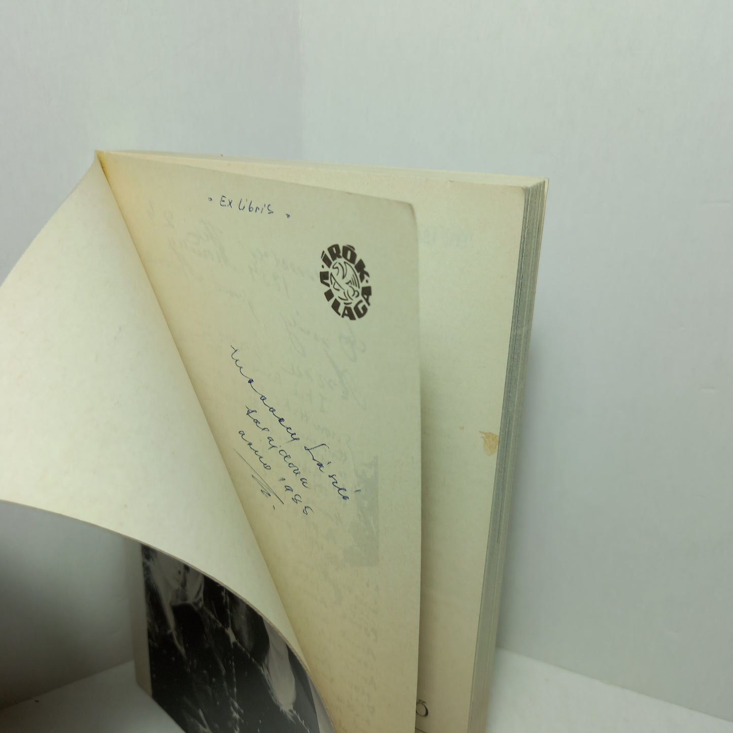 A Brontë nővérek