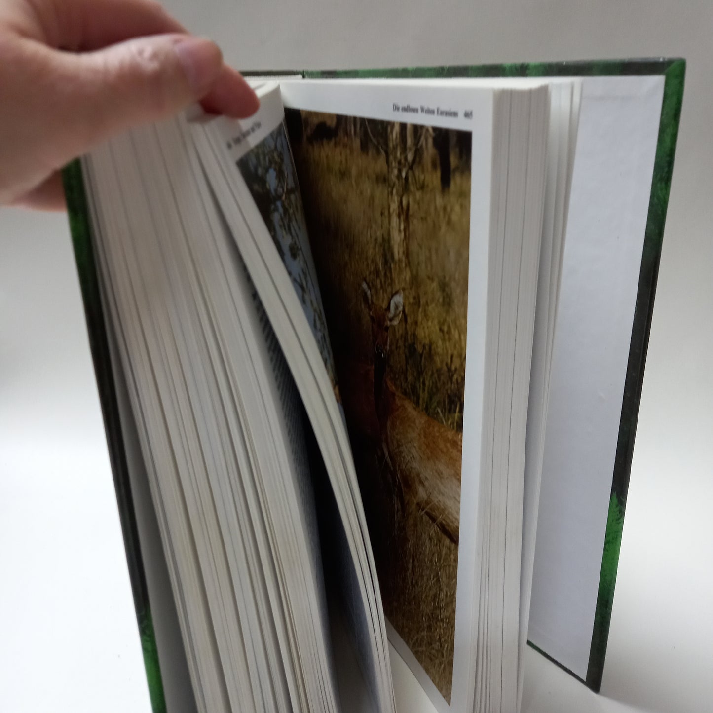 Das große Buch der Tierwelt