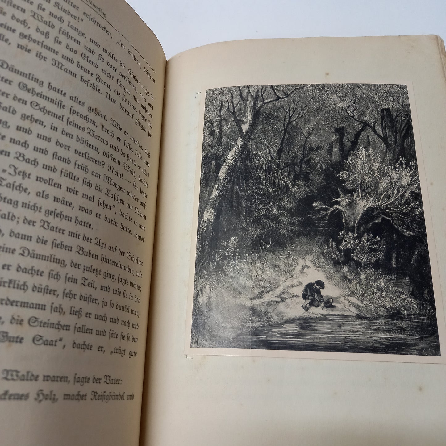 Wundervolle Mãrchenwelt