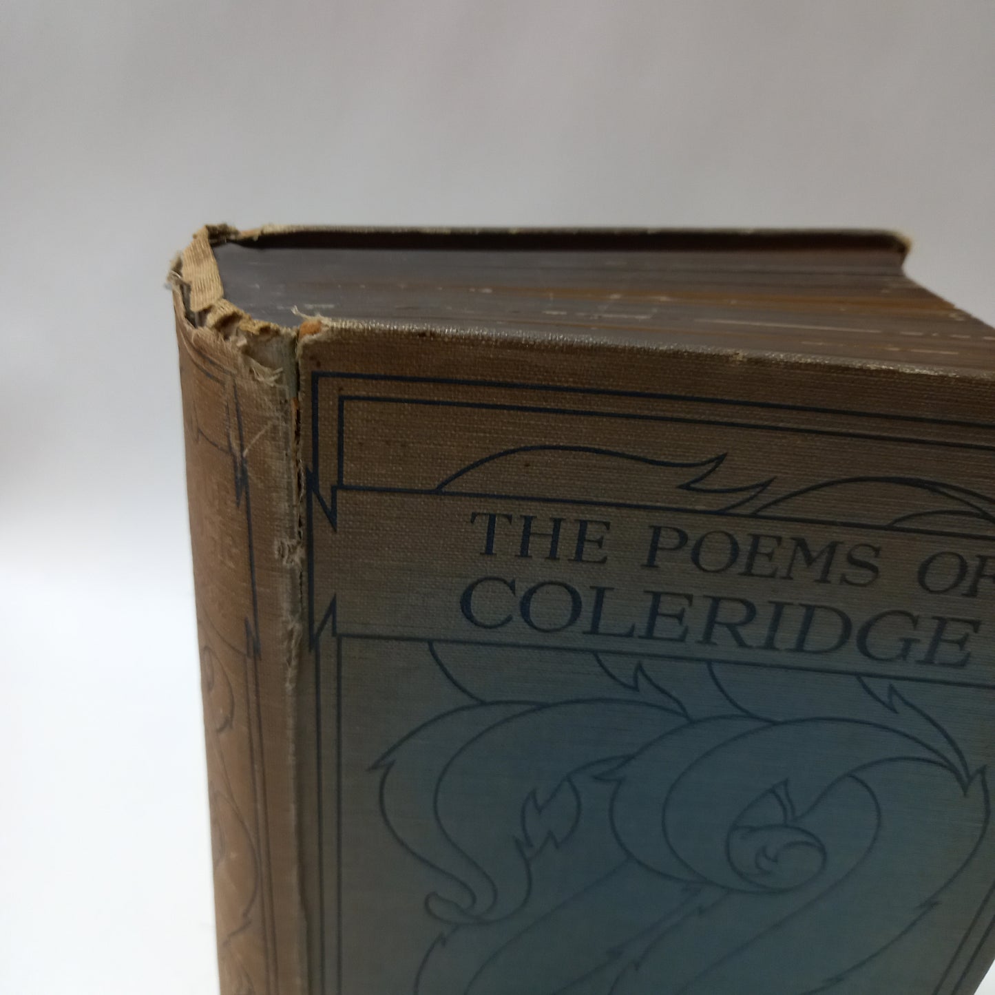 The Poems of Coleridge