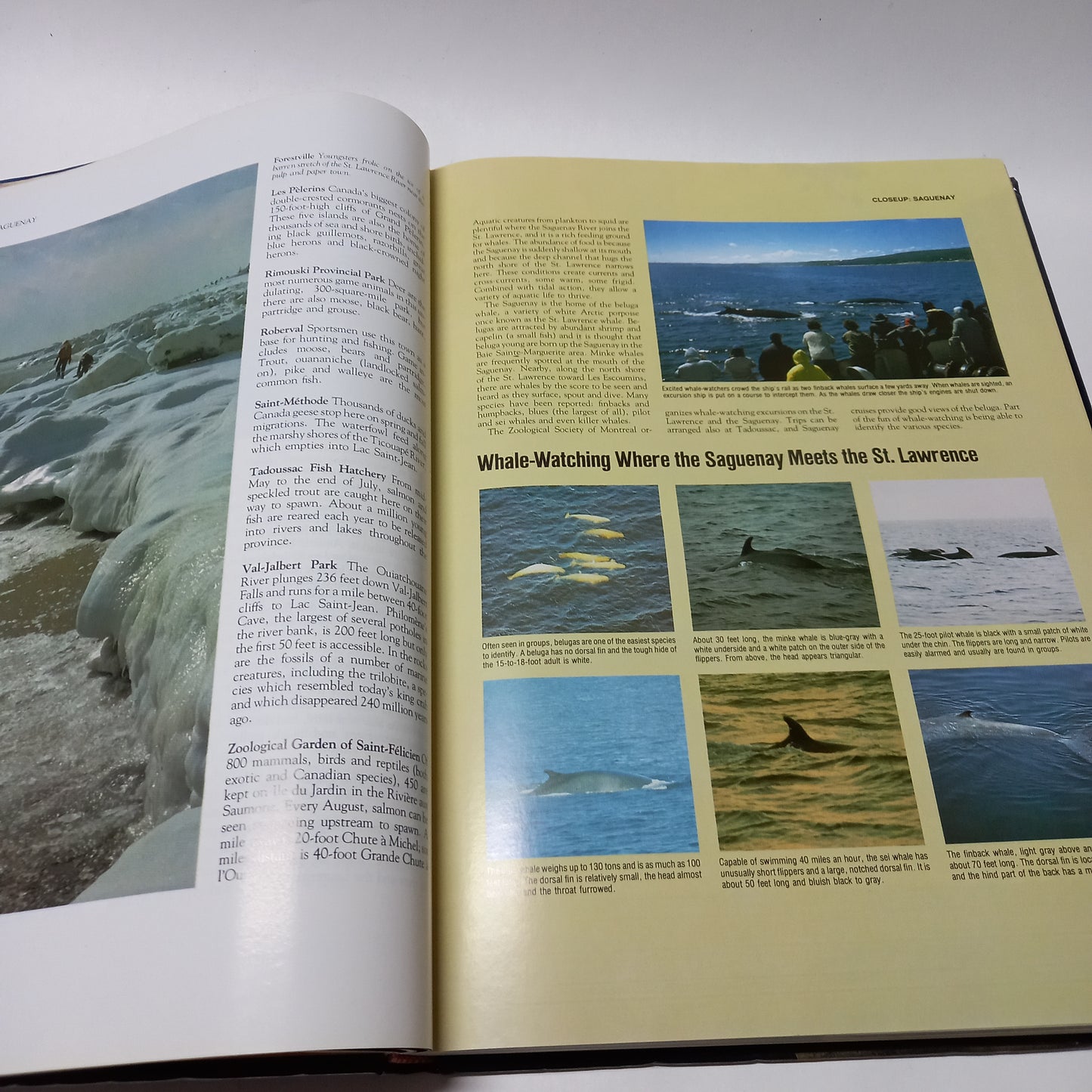 Scenic Wonders of Canada