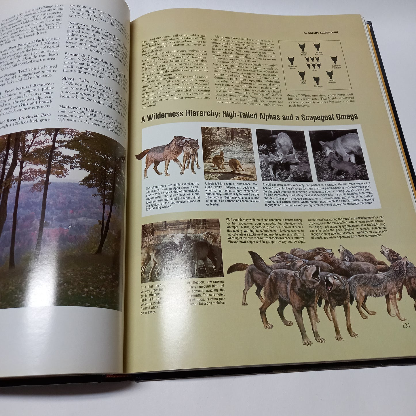 Scenic Wonders of Canada