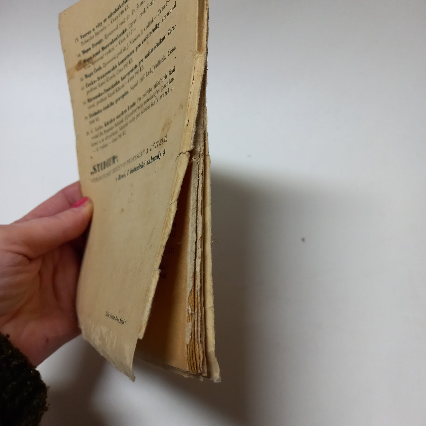 Slovensko-francúzska konverzácia pre začiatočníkov