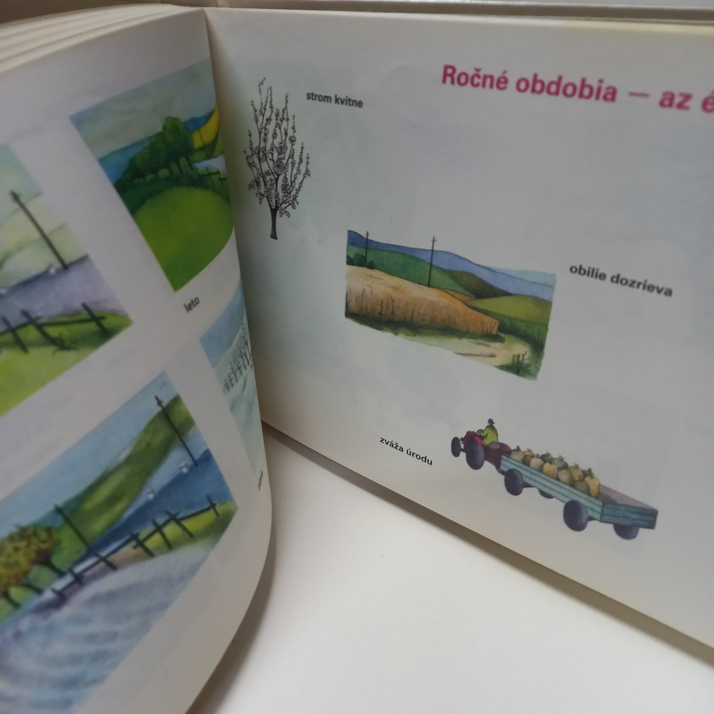 Obrázkový slovník slovenského jazyka - Szlovák nyelvű képesszótár