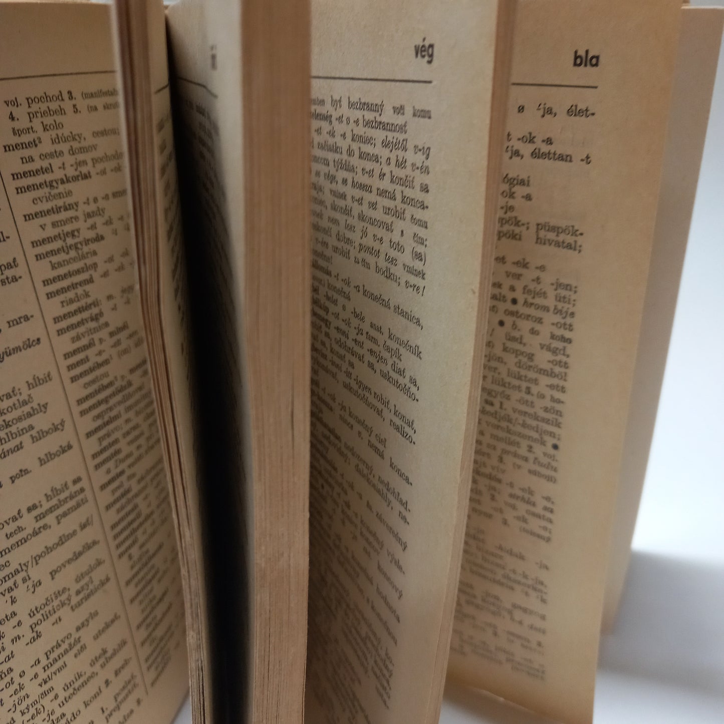 Maďarsko - slovenský a slovensko - maďarský slovník