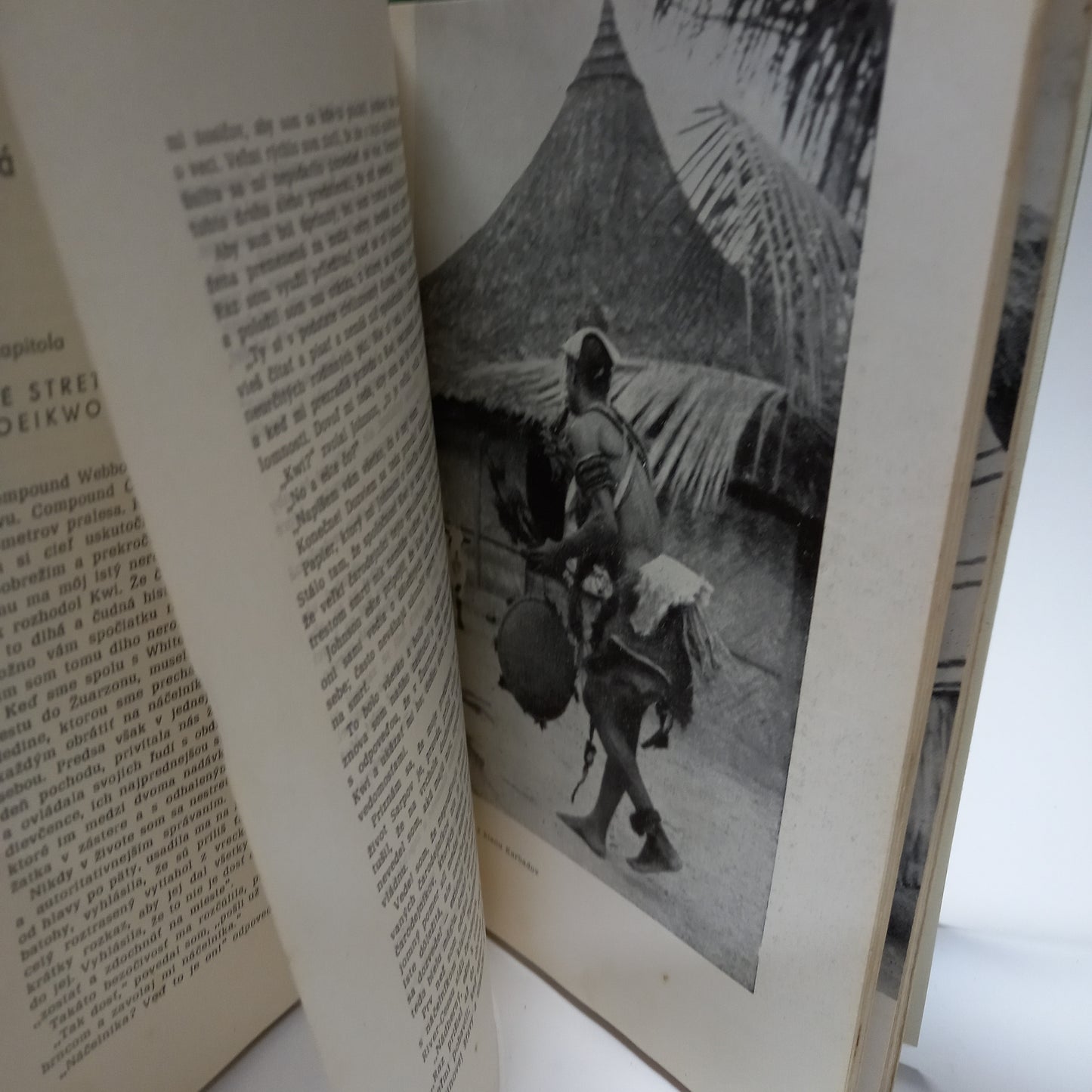 Útek zo zeleného pekla