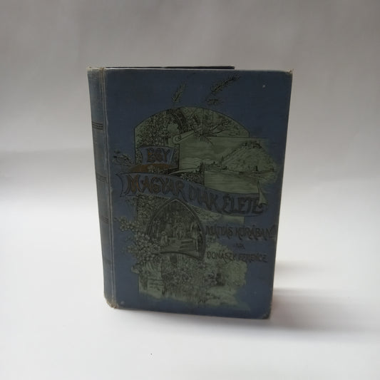 Egy magyar diák élete - Mátyás Király korában