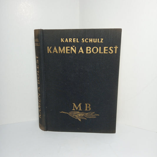 Kameň a bolesť