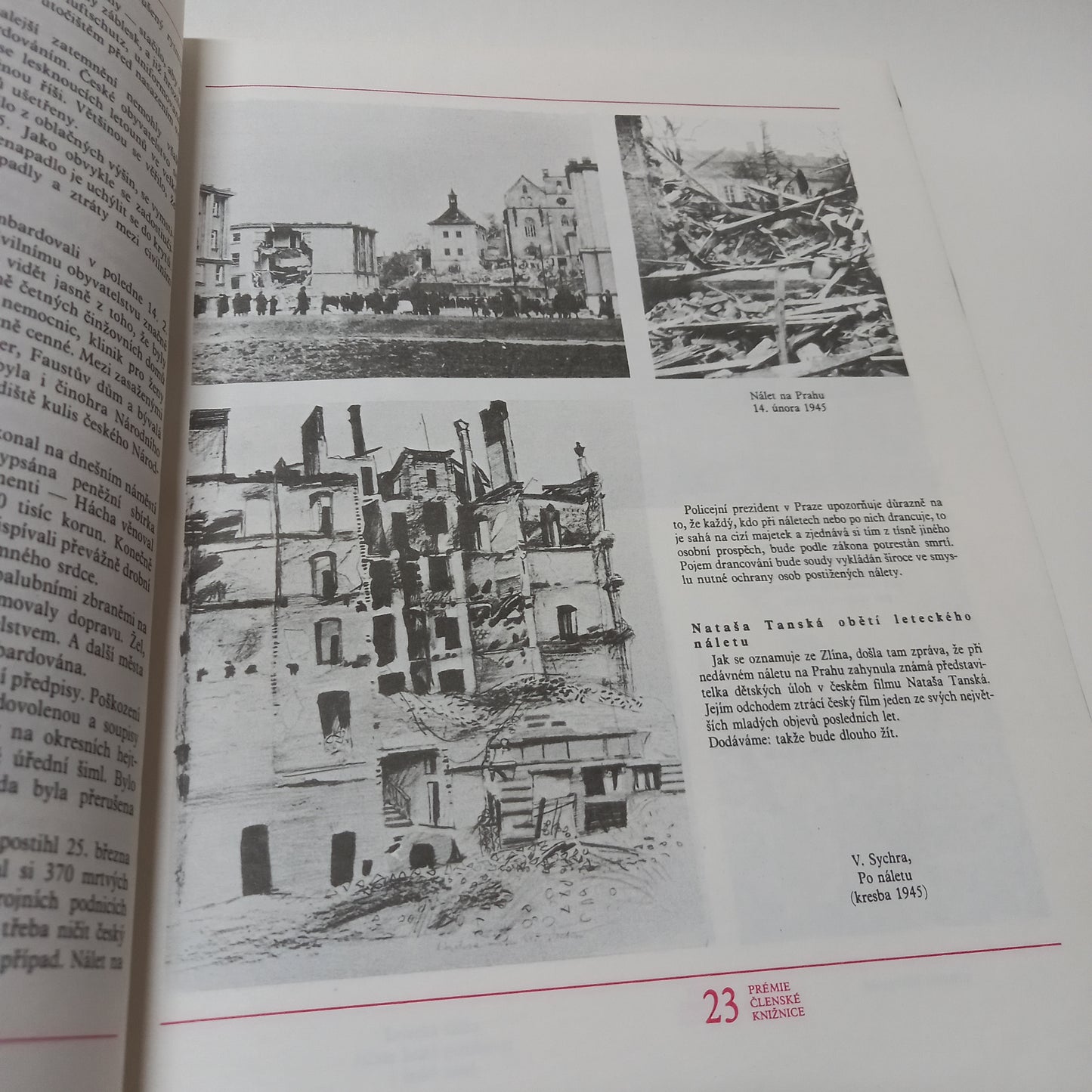 Nikdy nekvetly šeříky tak krásně