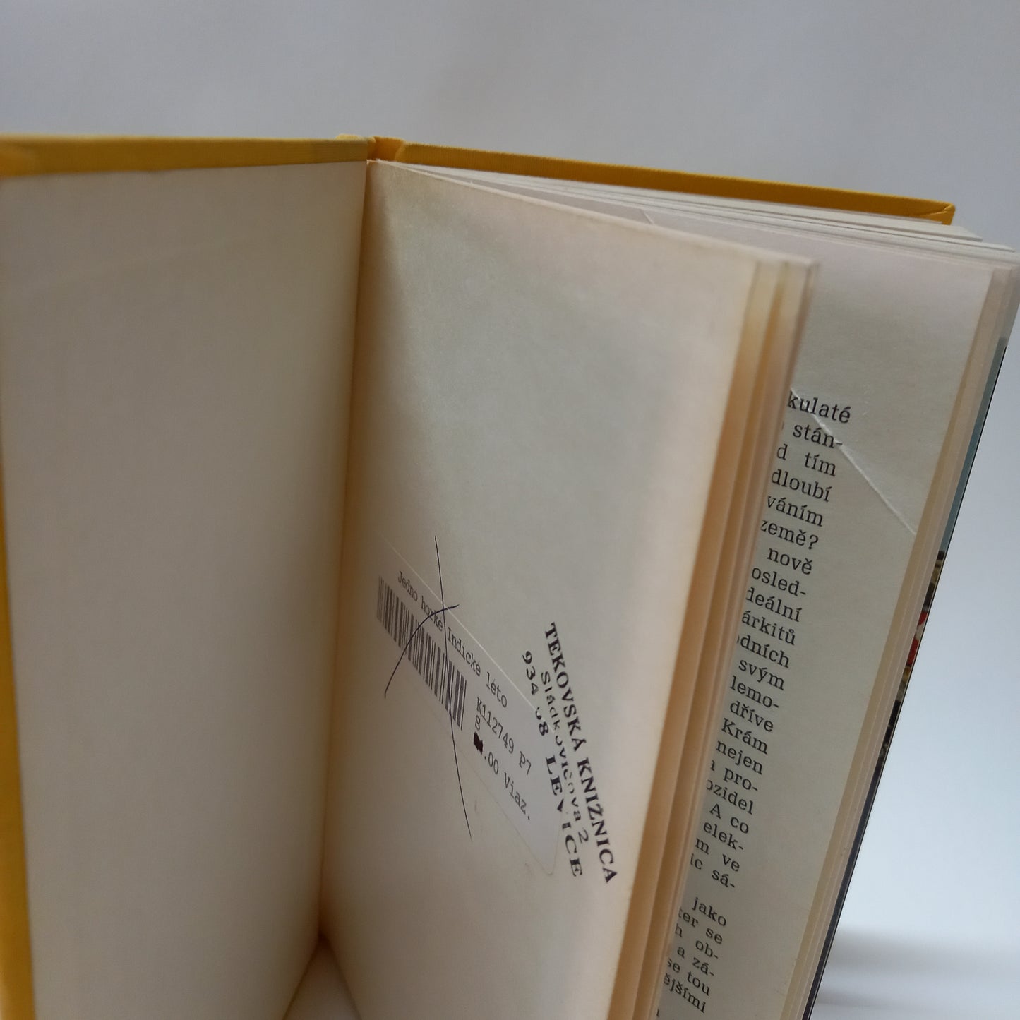 Jedno horké indické léto