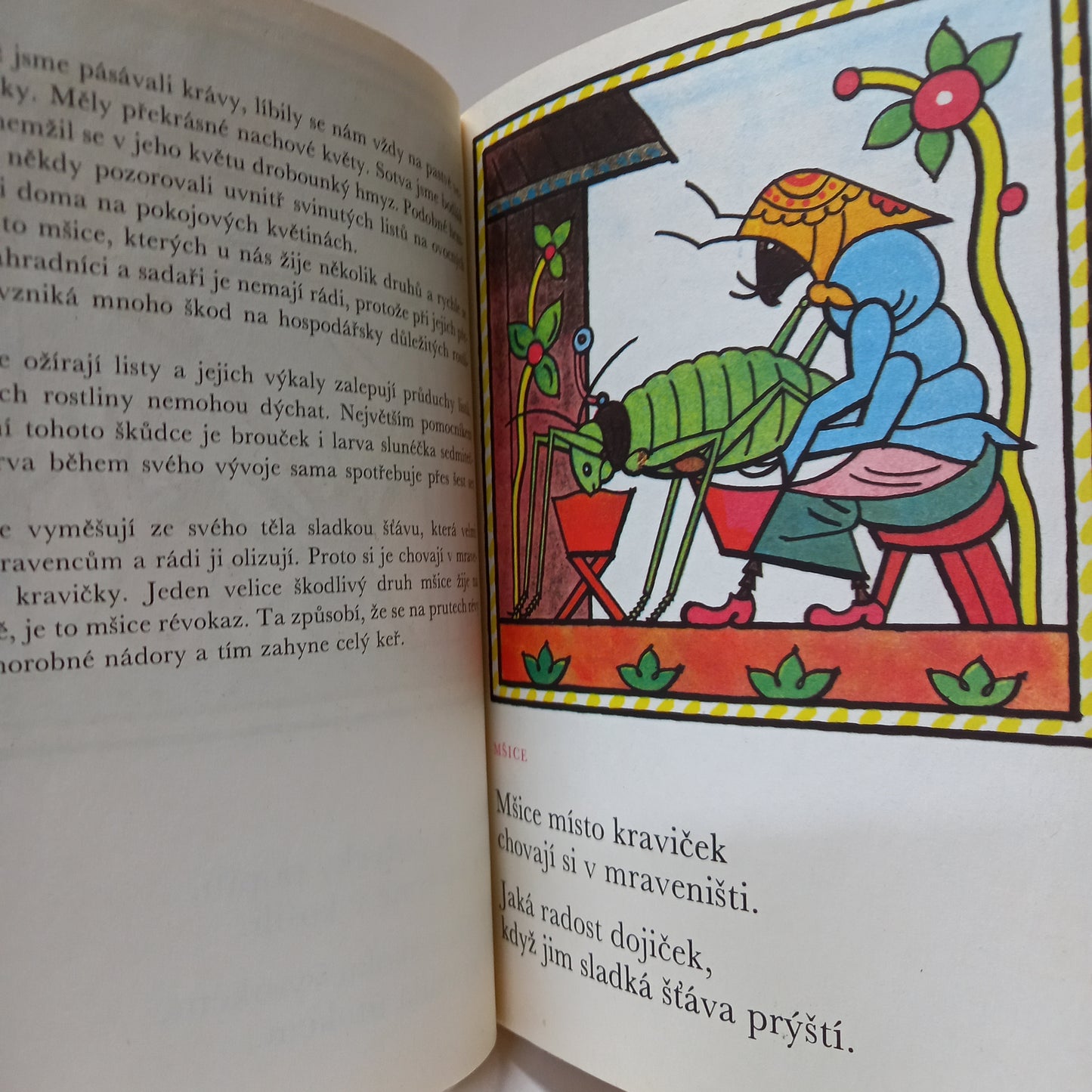 Ladovy veselé učebnice - Brouci a hmyz