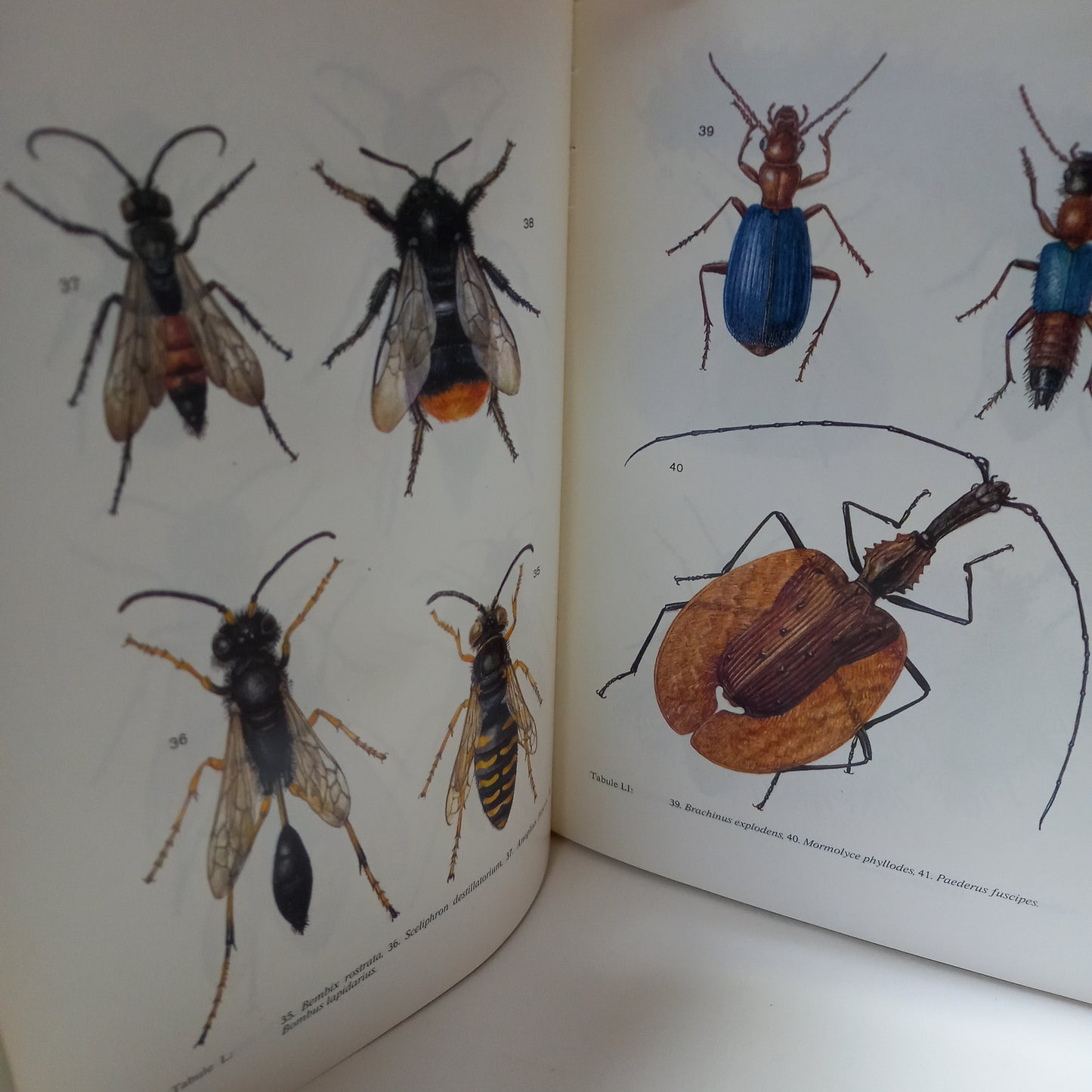 Jedovatí živočichové