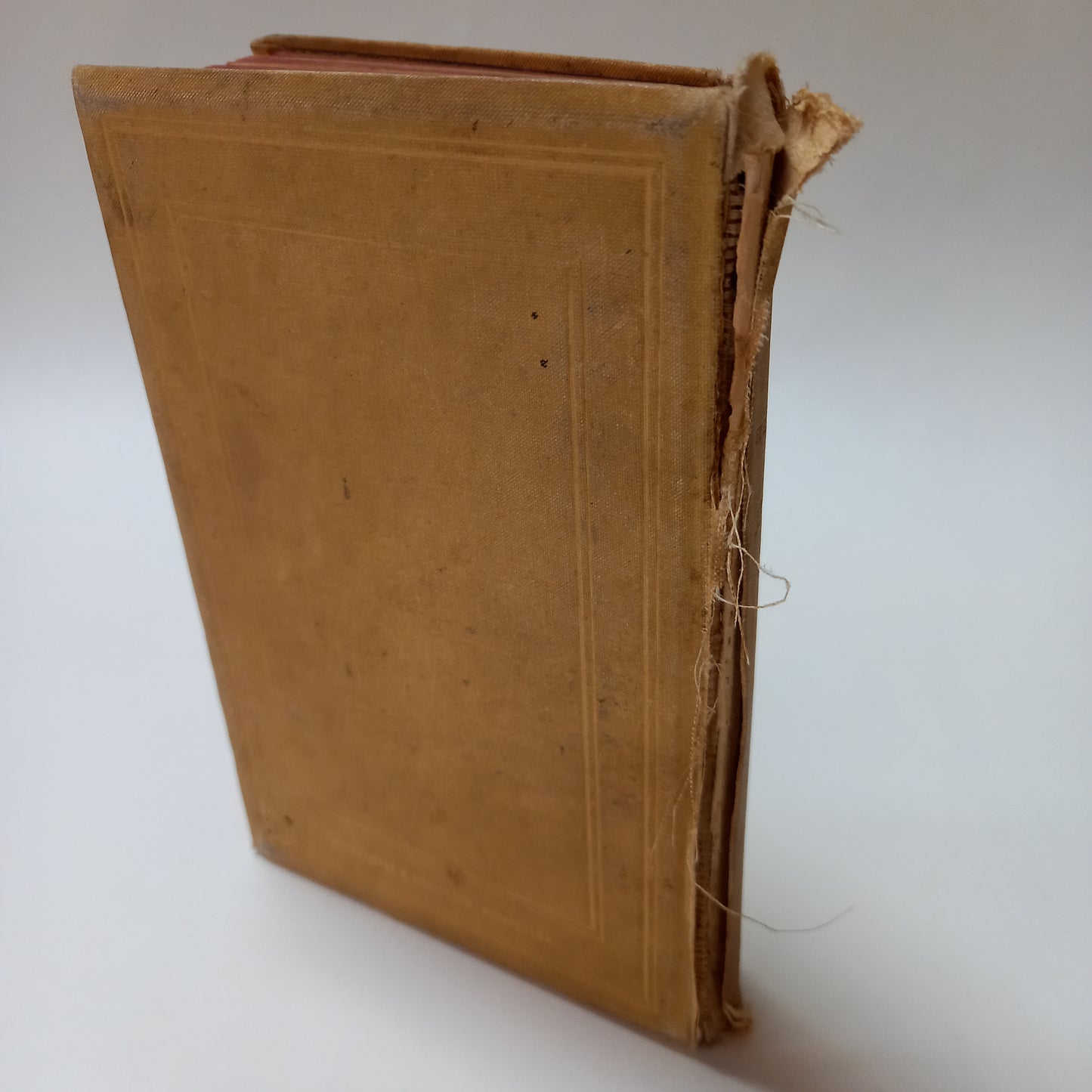 A Gyurkovics-Leányok