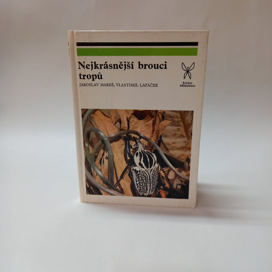 Nejkrásnější brouci tropů