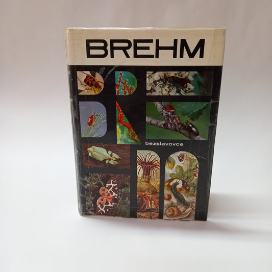 Brehm 1- život zvierat - bezstavovce