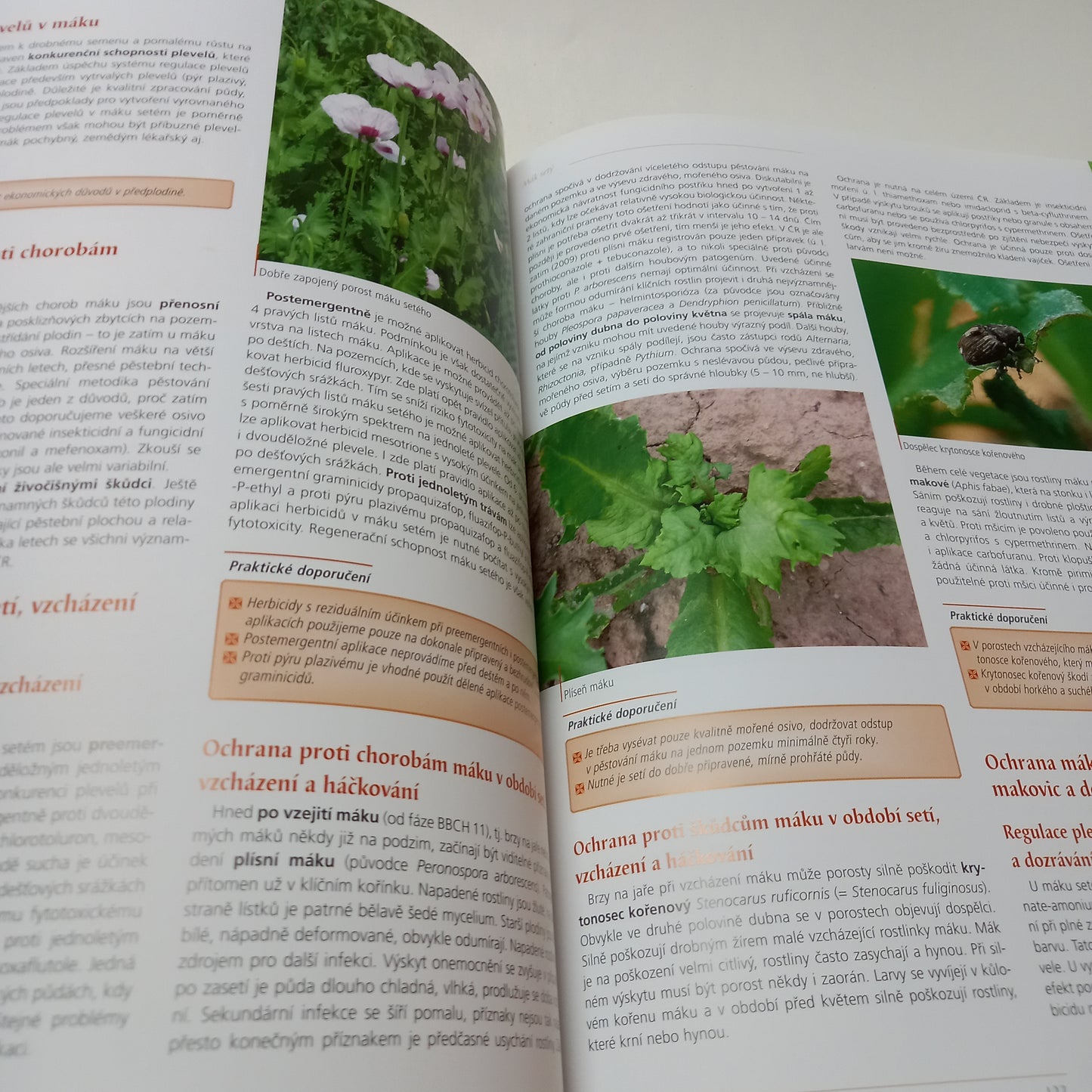 Encyklopedie ochrany rostlin