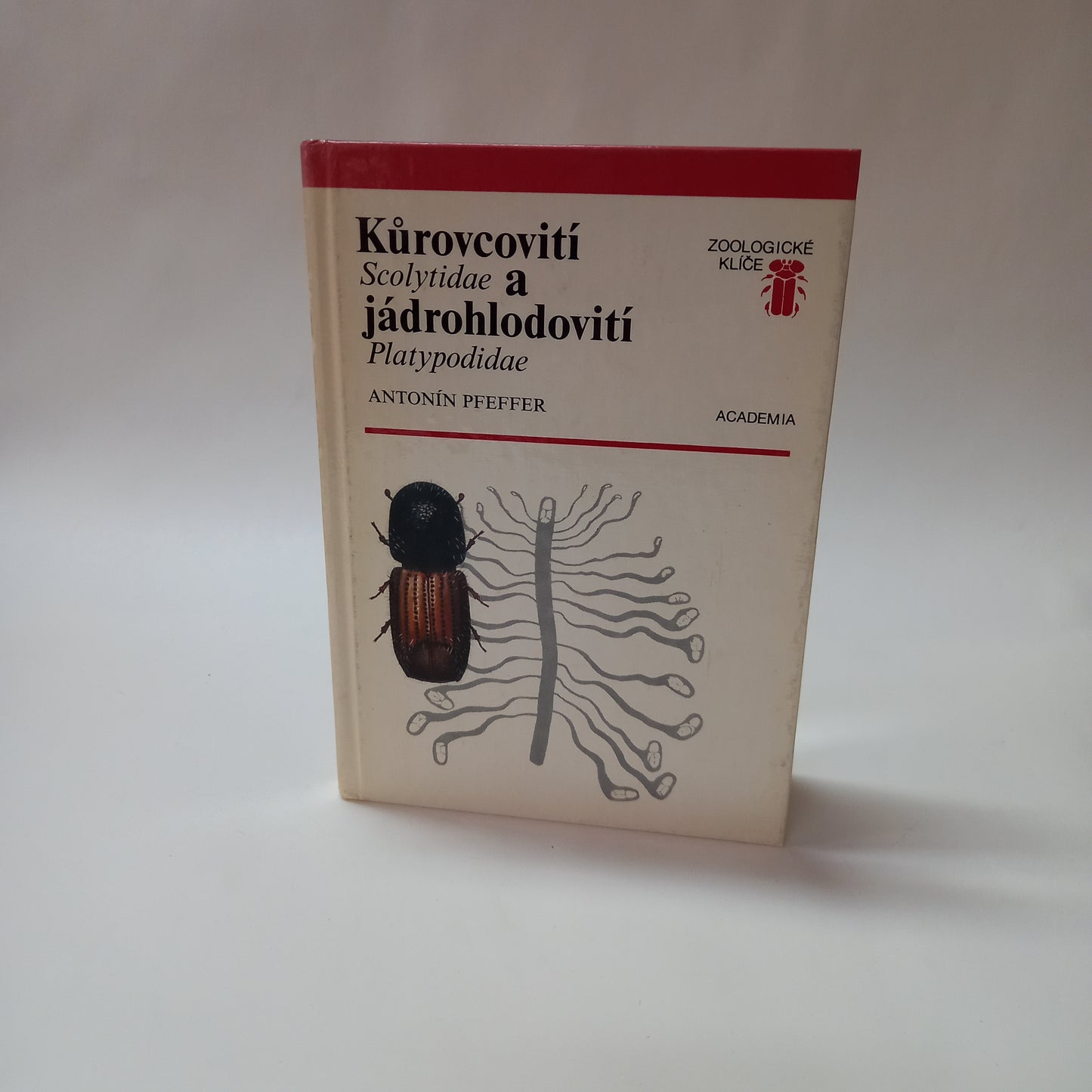 Kůrovcovití a jádrohlodovití