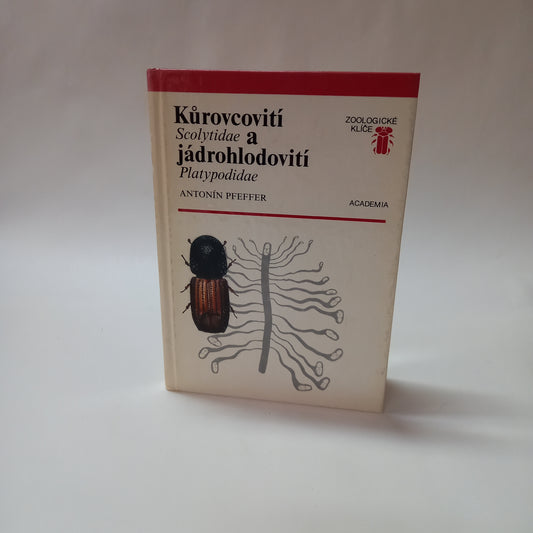 Kůrovcovití a jádrohlodovití