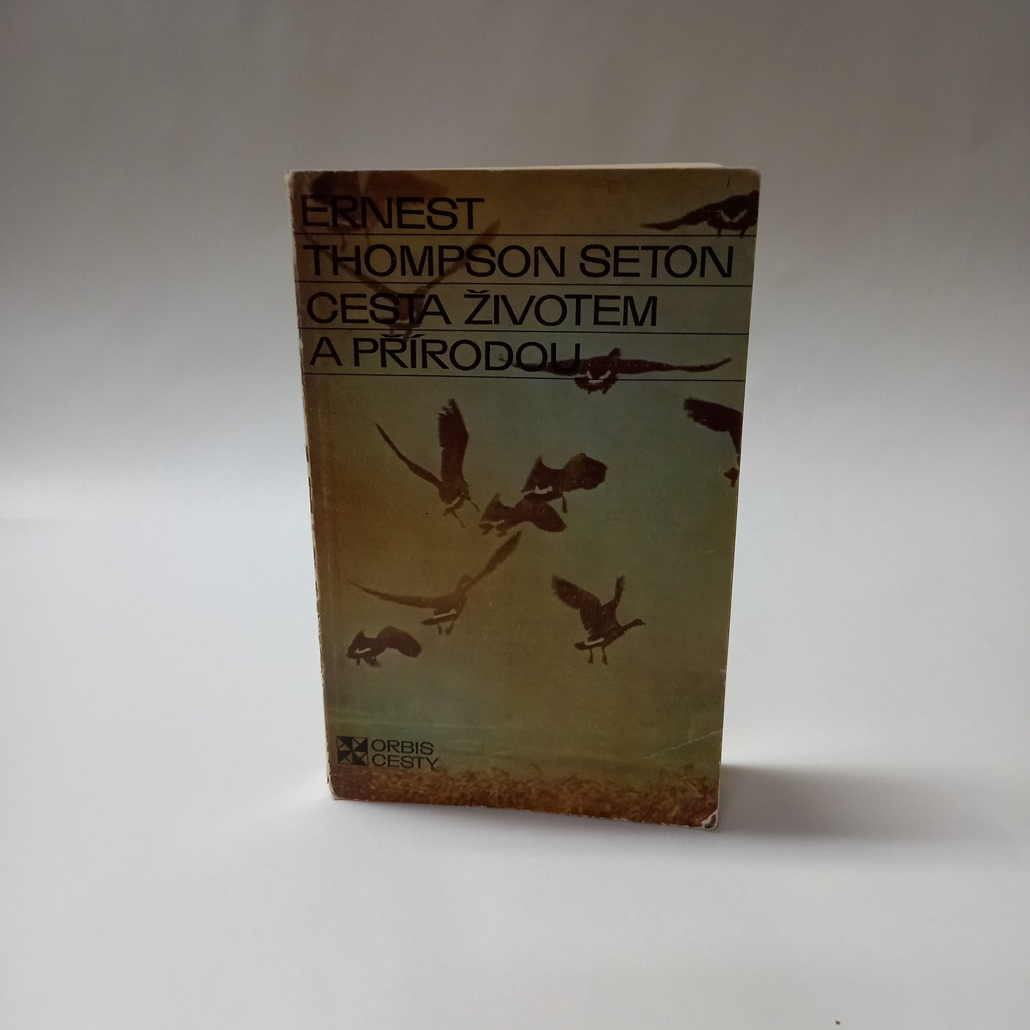 Cesta životem a přírodou