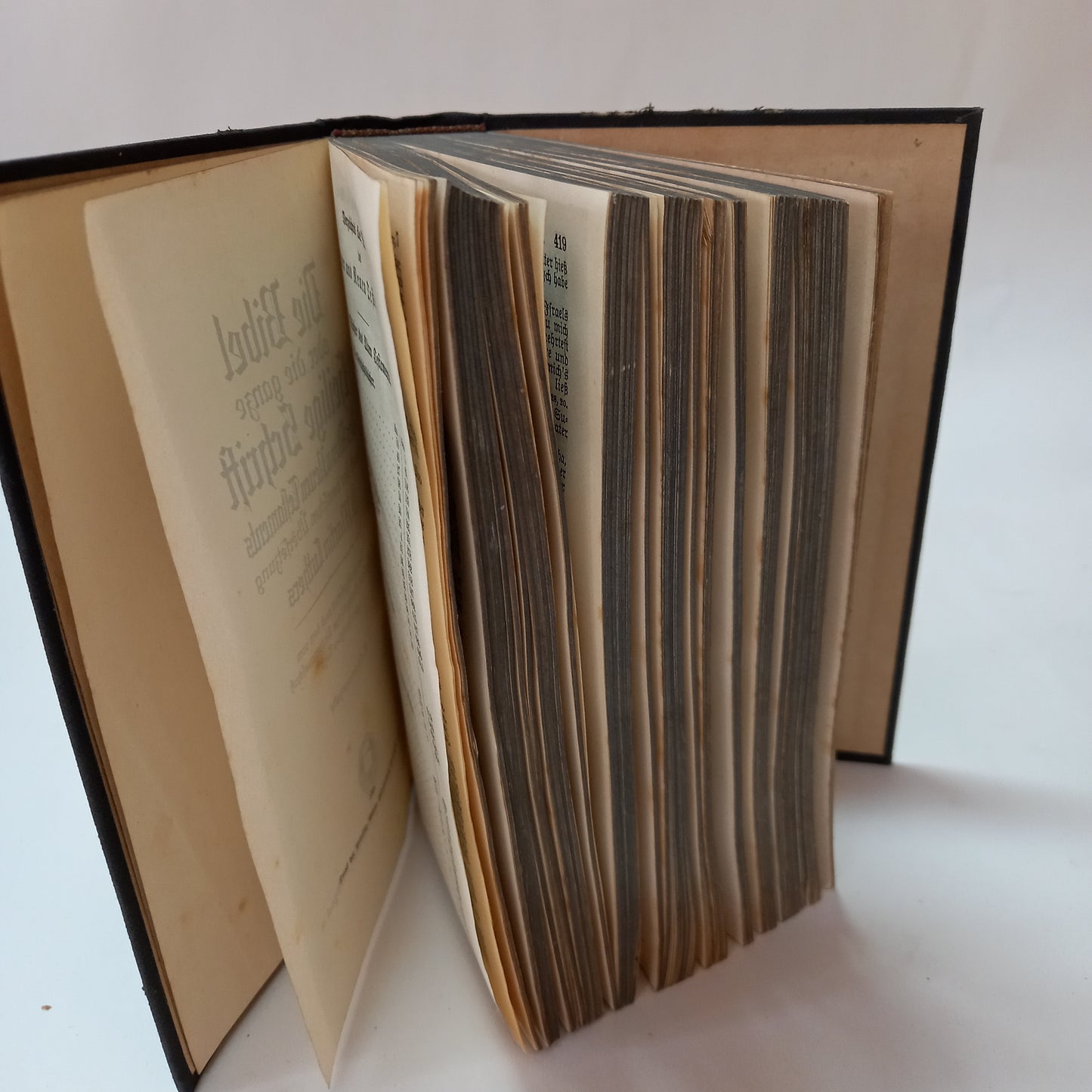 Die Bibel oder die ganze Heilige Schrift des Alten und Neuen Testaments nach der deutschen Übersetzung D. Martin Luthers