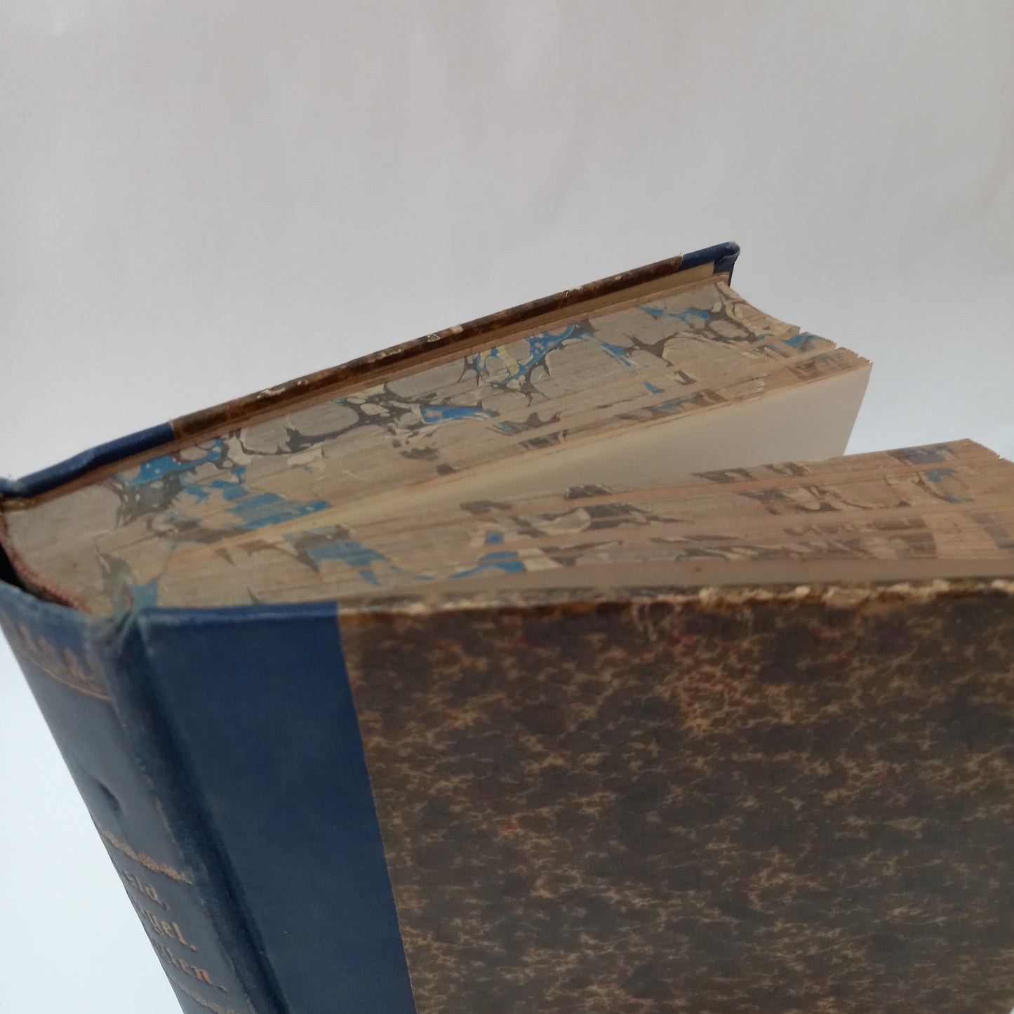 Predigten über die evangelischen Perikopen