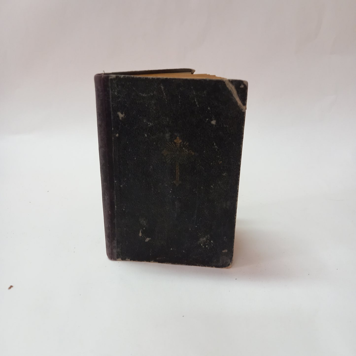 Srdcom i jazykom - sprievodca pútnikov