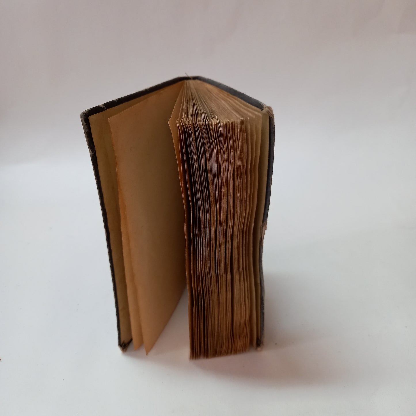 Srdcom i jazykom - sprievodca pútnikov