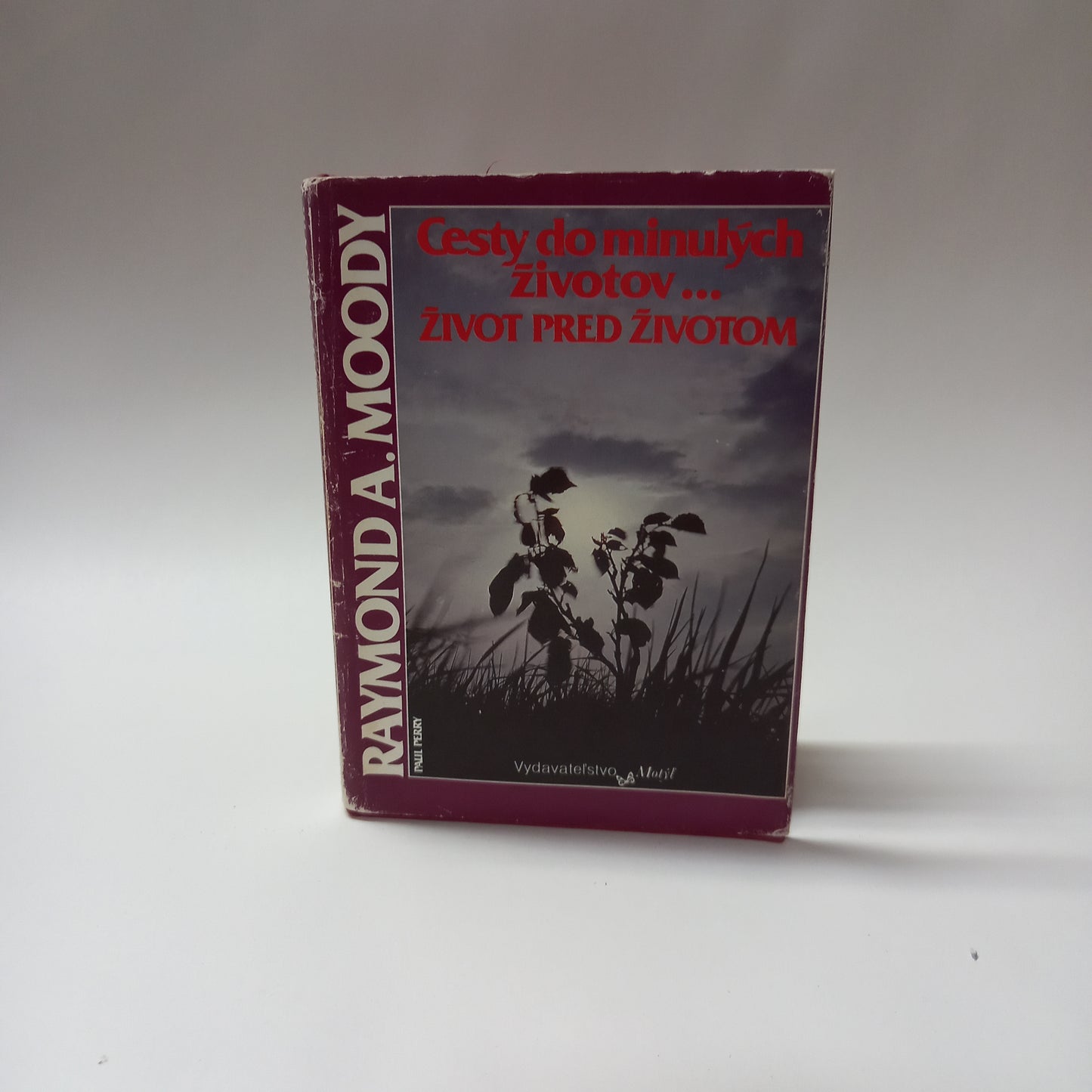 Cesty do minulých životov...    Život pred životom