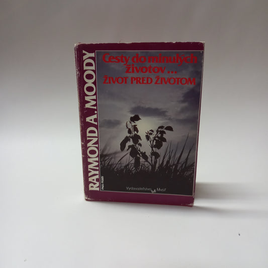 Cesty do minulých životov...    Život pred životom