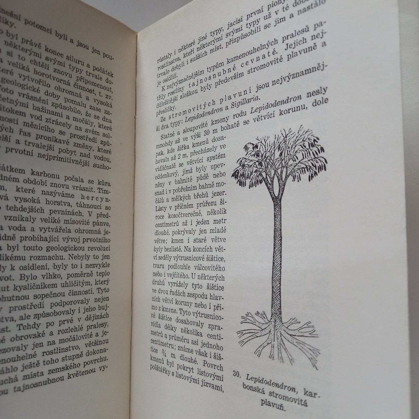 Z pradějin tvorstva