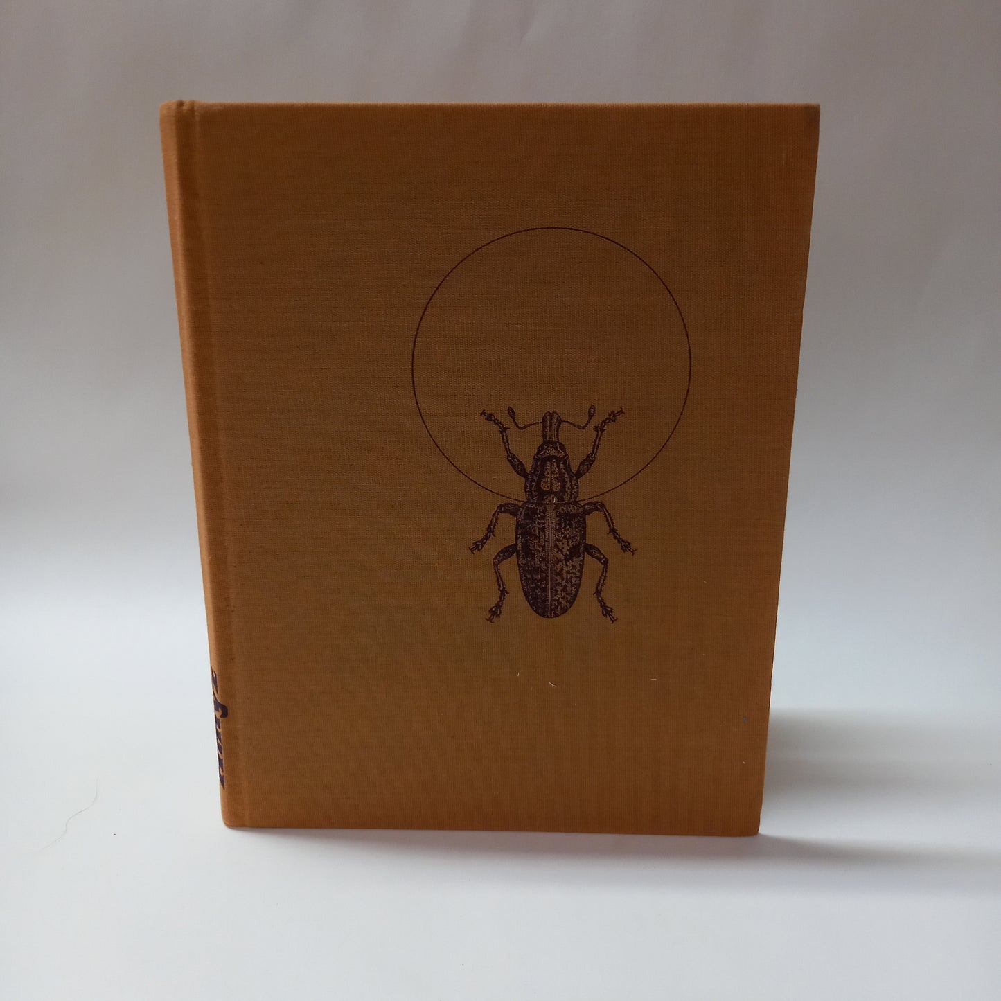 Hmyz                                            známý i neznámý, pronásledovaný, chráněný