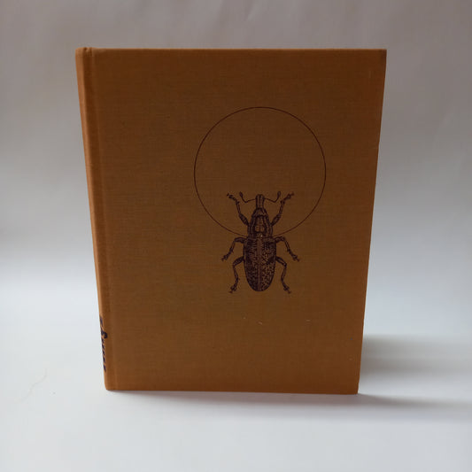 Hmyz                                            známý i neznámý, pronásledovaný, chráněný