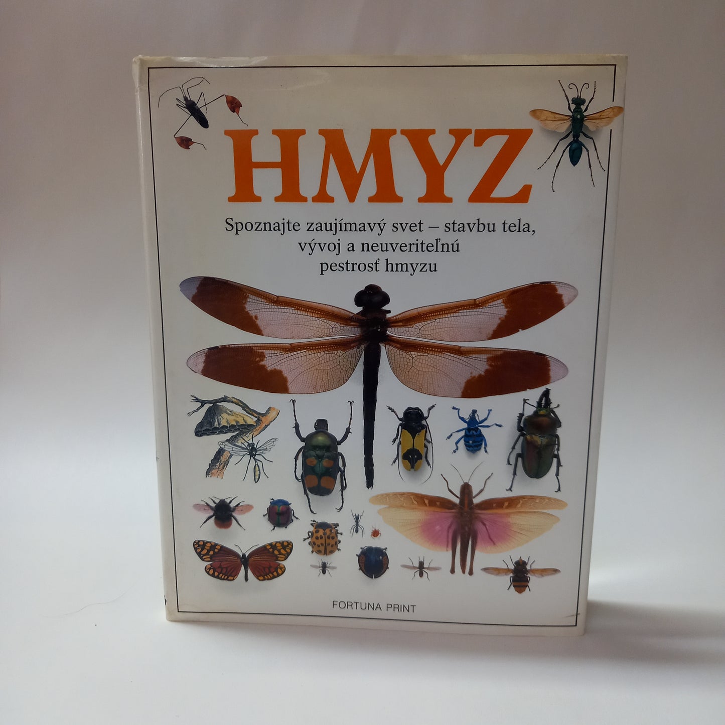 Hmyz