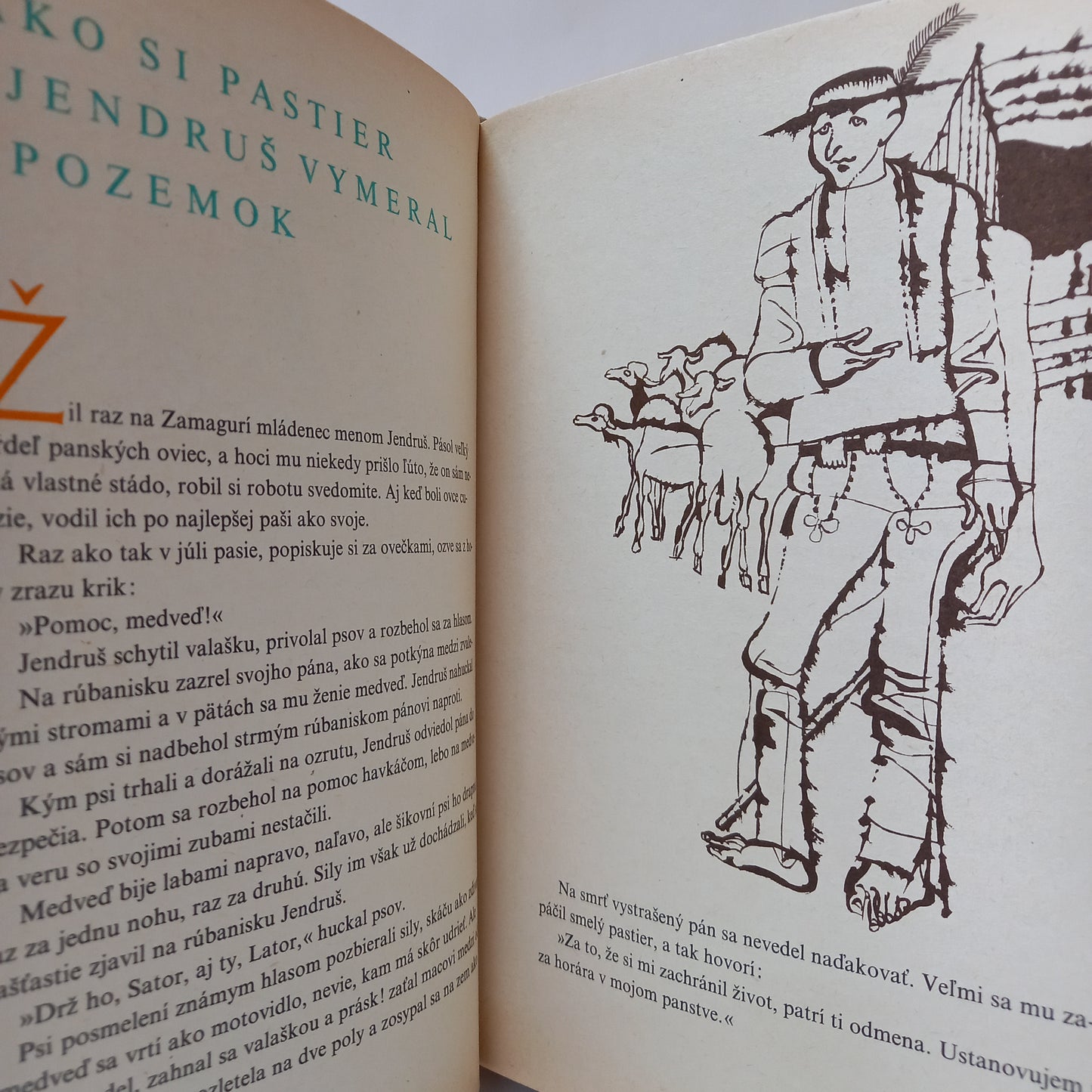 Vodníkove zlaté kačky Rozprávky zo Zamaguria
