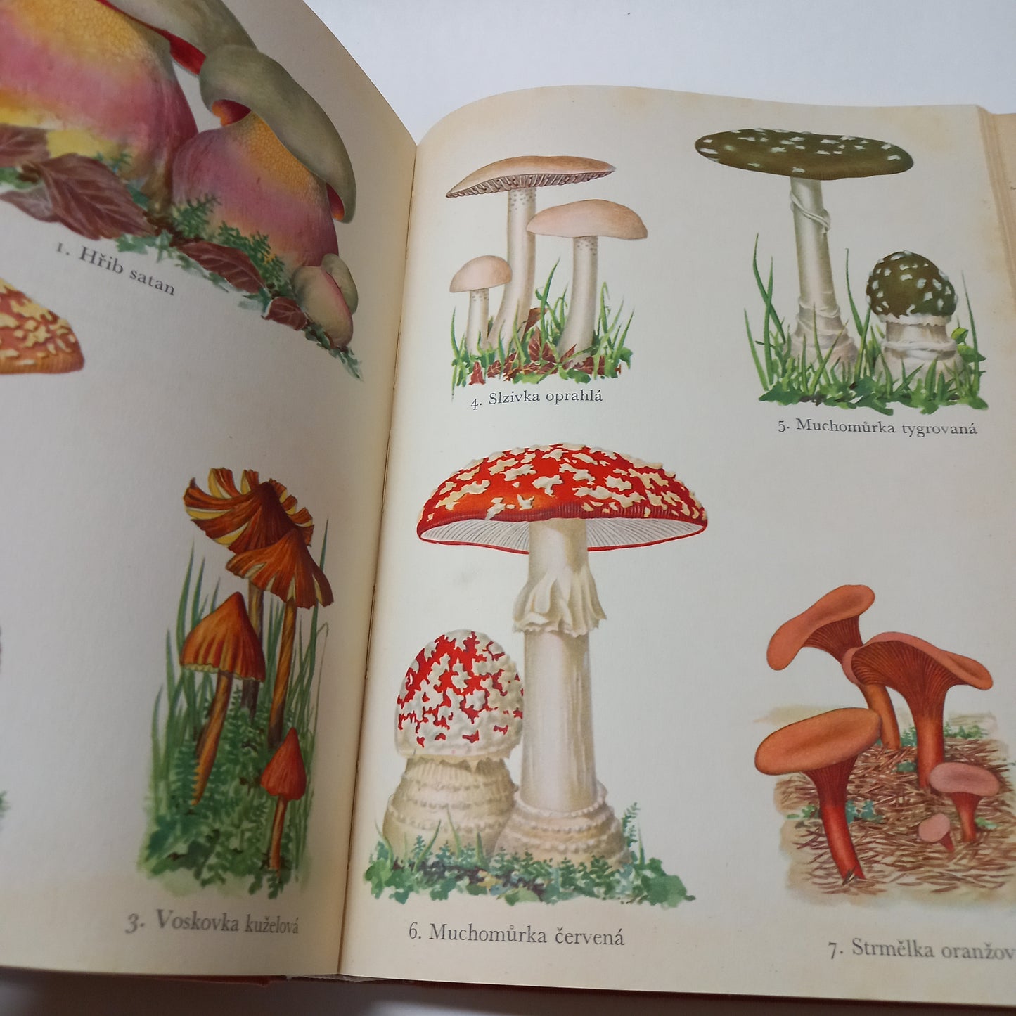 Naší přírodou 1938-1939