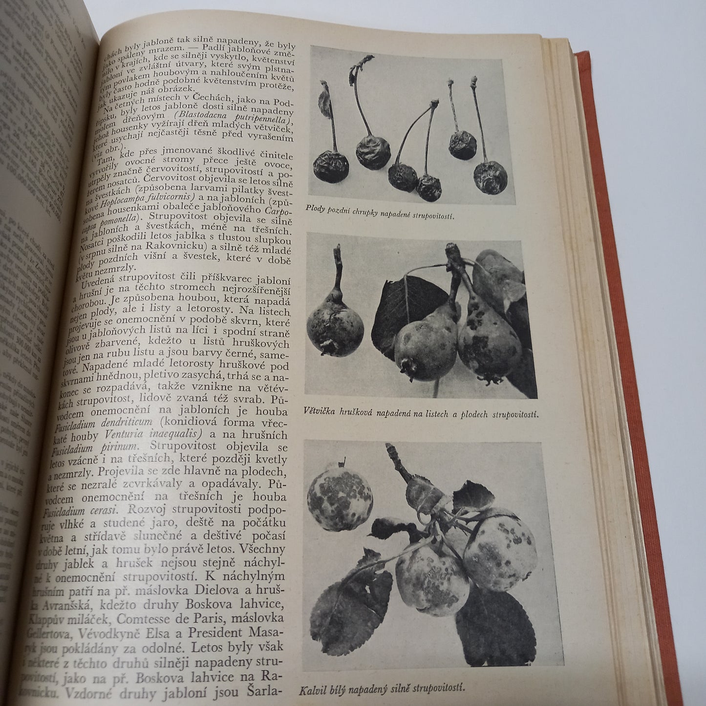 Naší přírodou 1938-1939