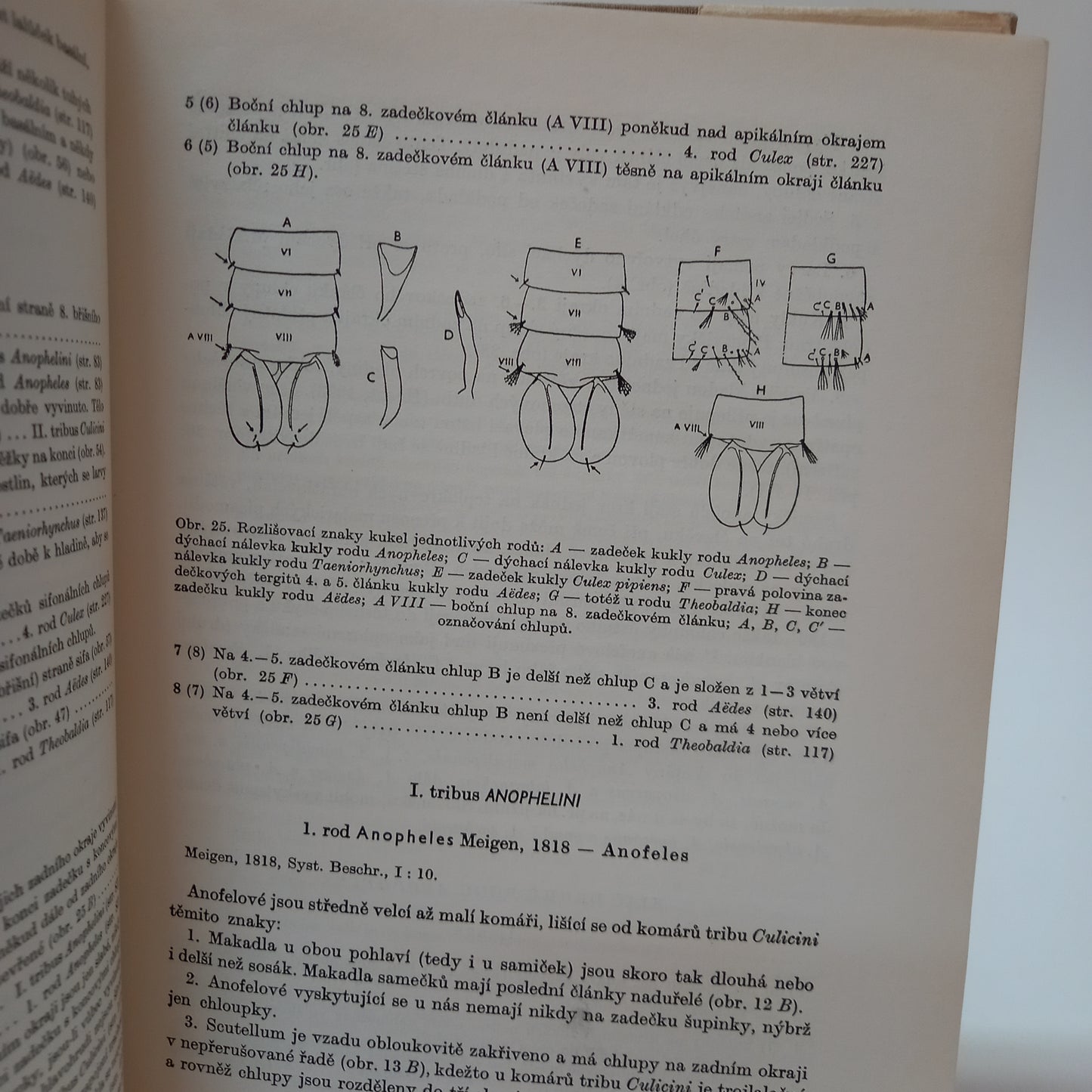 Fauna ČSR - Komáři bodaví