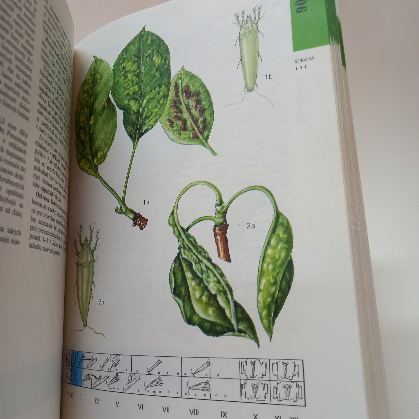 Atlas chorôb a škodcov ovocných drevín a viniča