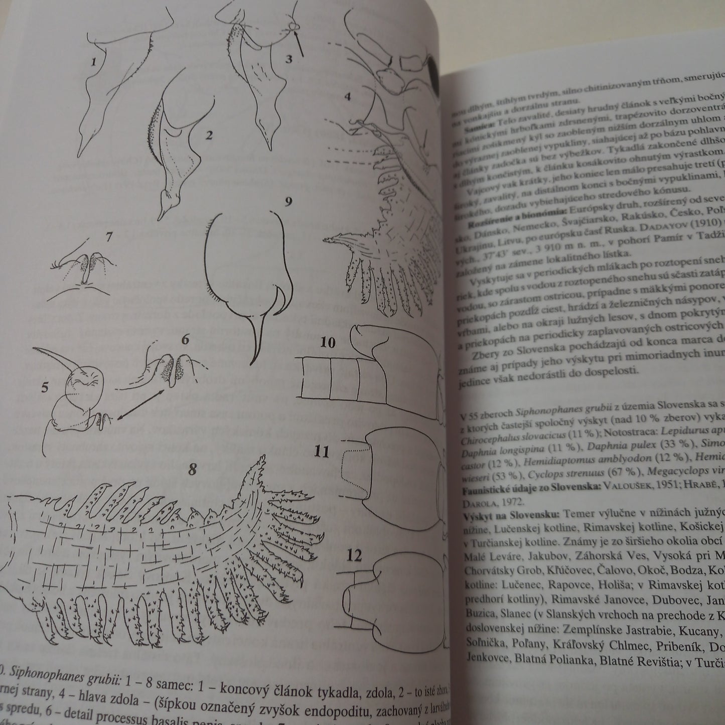 Fauna Slovenska - žiabronôžky, štítovky,