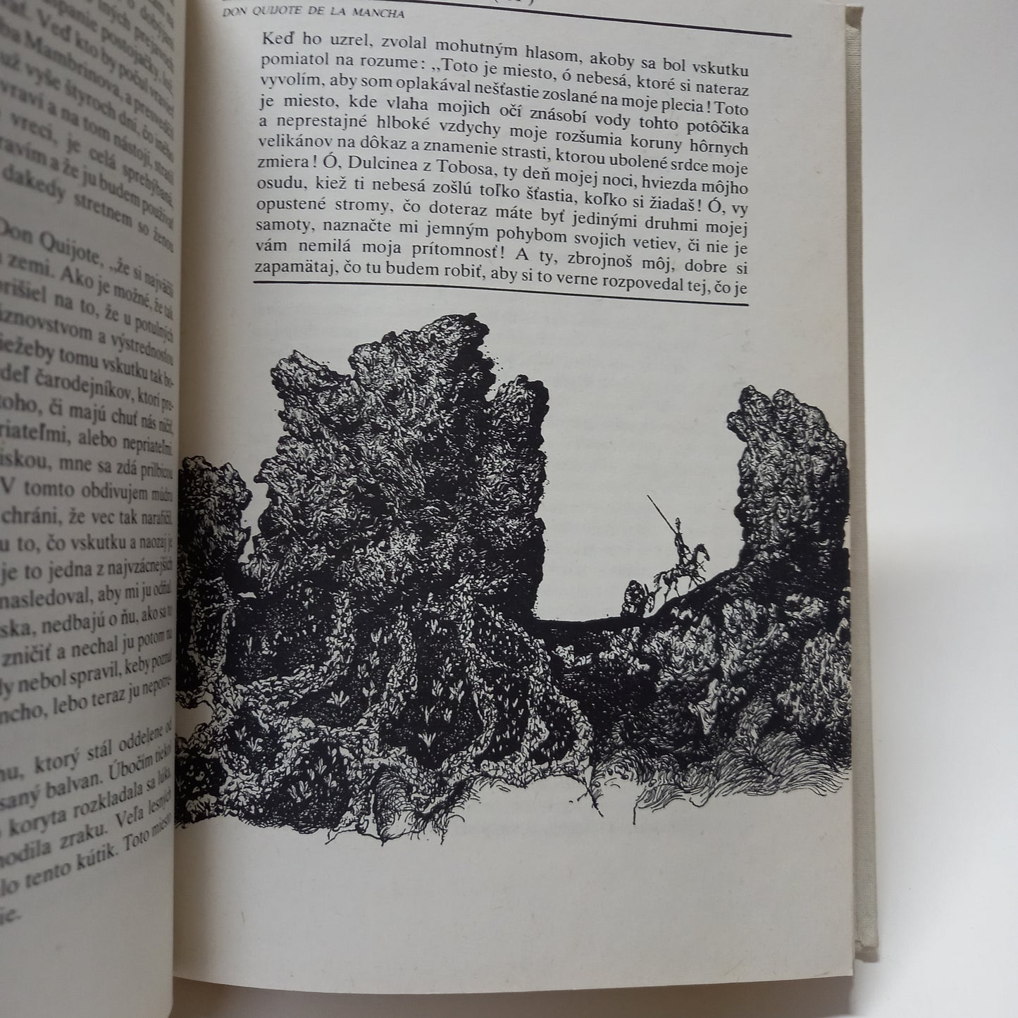 Dômyselný rytier Don Quijote de la Mancha