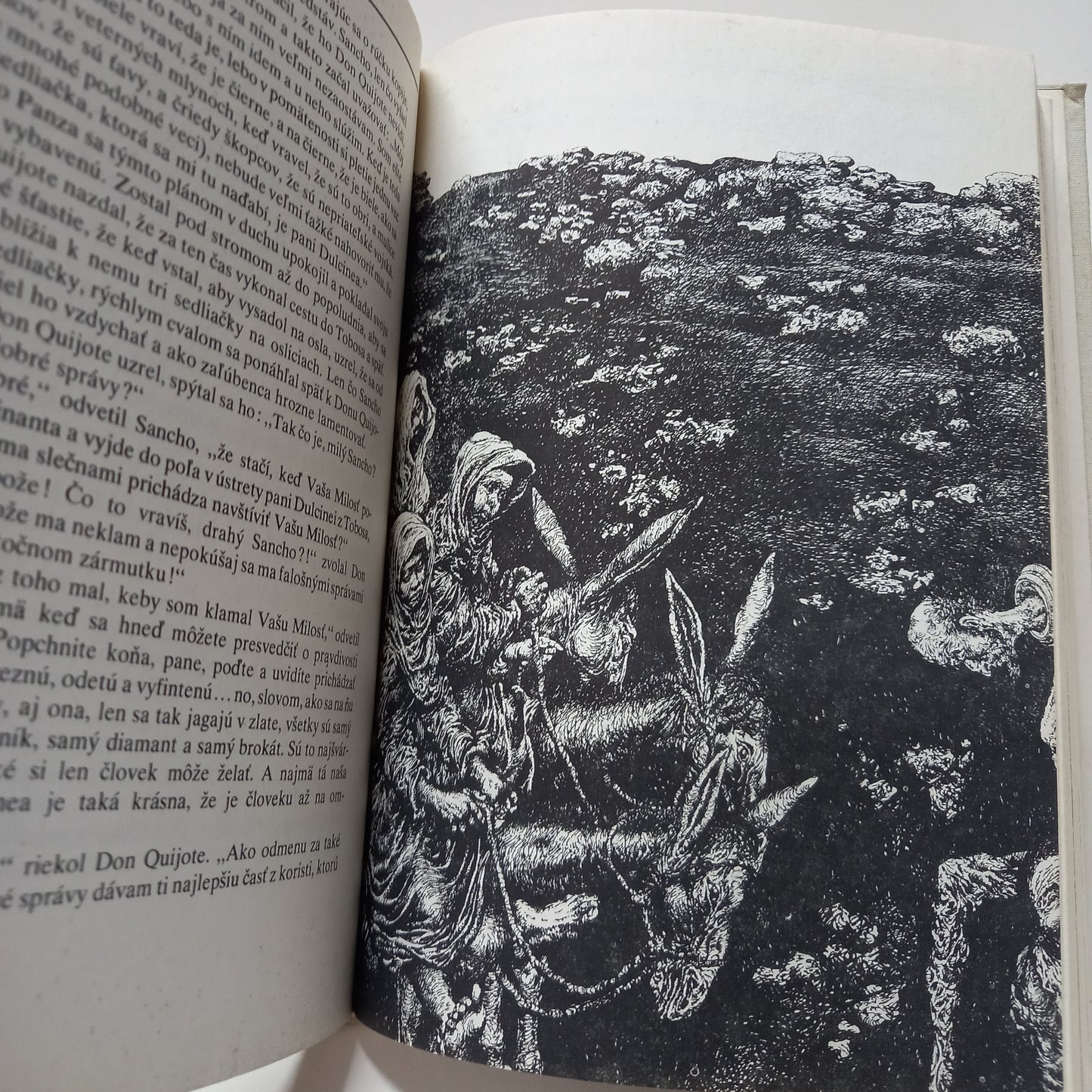 Dômyselný rytier Don Quijote de la Mancha