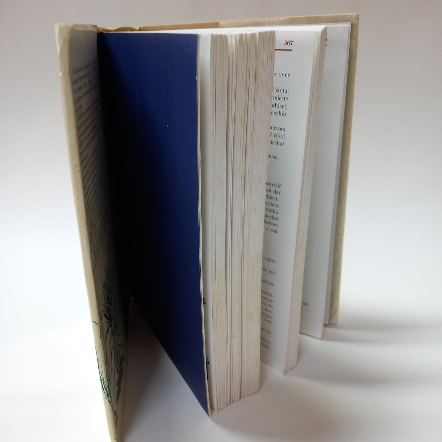 Prvá kuchárska kniha v slovenskej reči