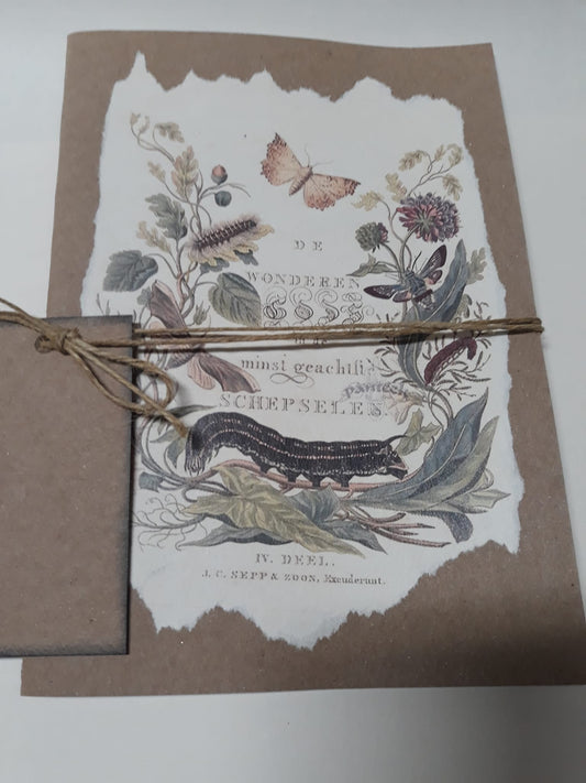 Zošit "Srdce lesa" - Motýle