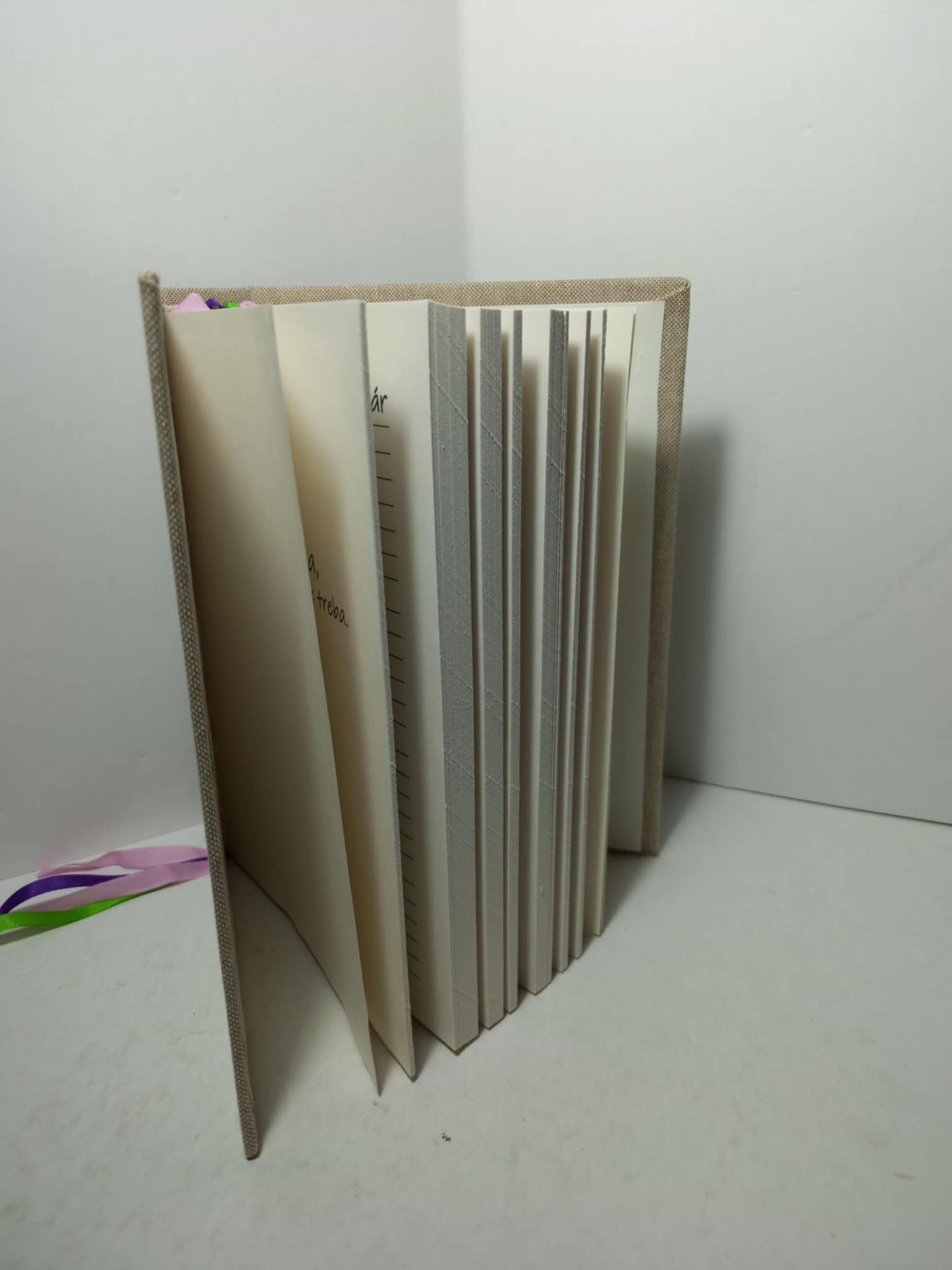 Záznamník života 2025 - 2028