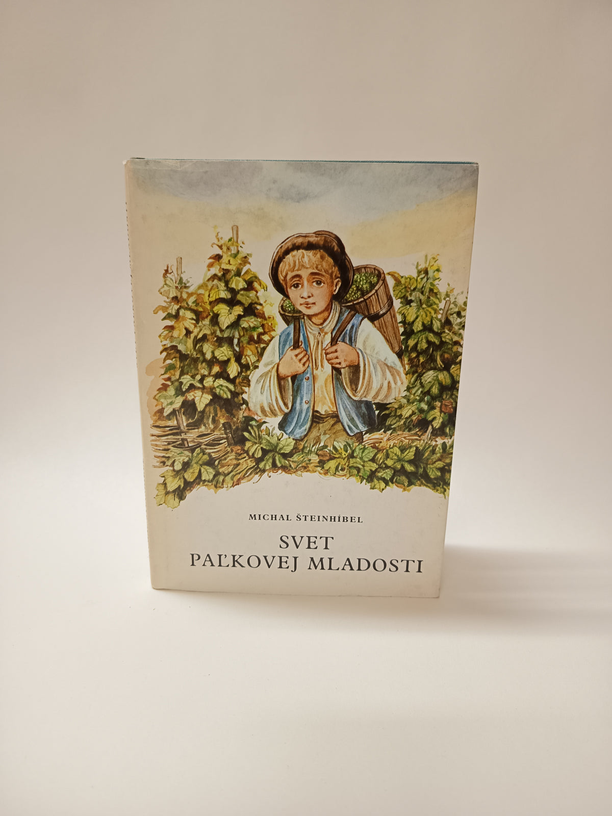 Svet Paľkovej mladosti